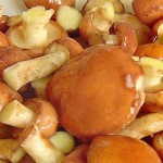 советы покупателям при покупках