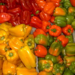 учимся выбирать и хранить продукты