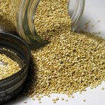  учимся выбирать и хранить продукты