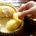 учимся выбирать и хранить продукты
