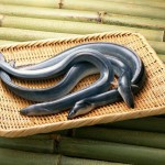 учимся выбирать и хранить продукты