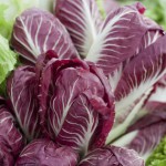  учимся выбирать и хранить продукты