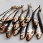  учимся выбирать и хранить продукты